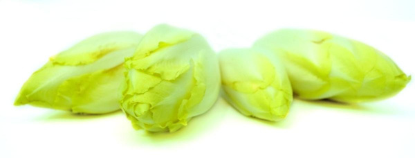 Produktfoto zu Chicoree