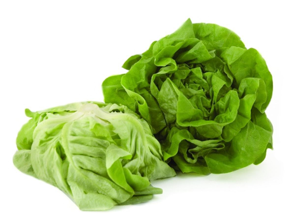 Produktfoto zu Kopfsalat eig. LW