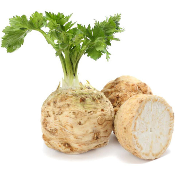 Produktfoto zu Knollensellerie