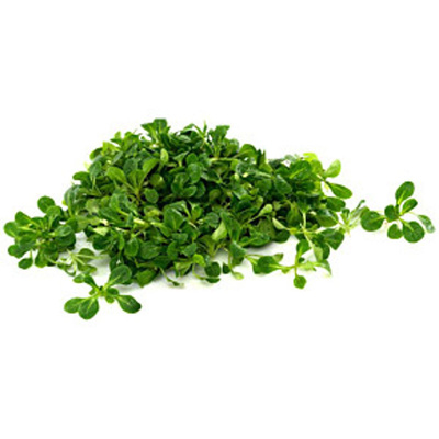 Produktfoto zu Vogerlsalat