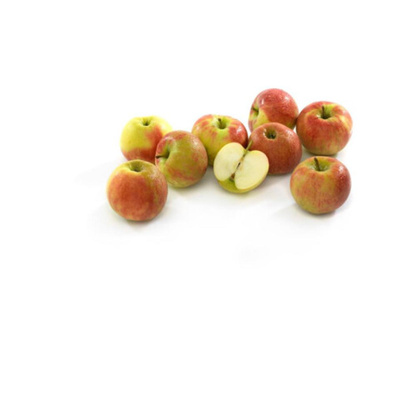 Produktfoto zu Apfel Elstar