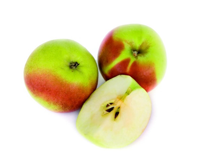 Produktfoto zu Apfel Kronprinz Rudolf