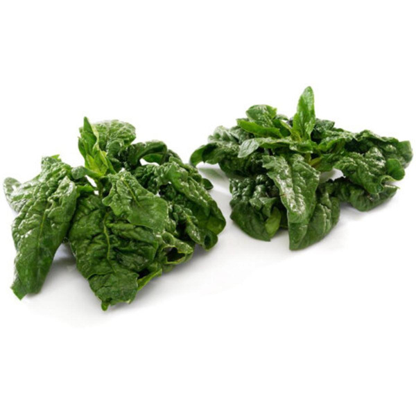 Produktfoto zu Wurzelspinat eig. LW