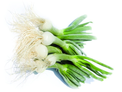 Produktfoto zu Jungzwiebel