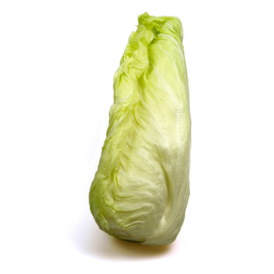 KI generiert: Ein einzelner Spitzkohl vor weißem Hintergrund.