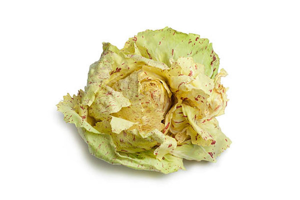 Produktfoto zu Radicchio weiß