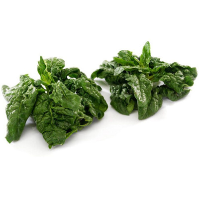 Produktfoto zu Wurzelspinat