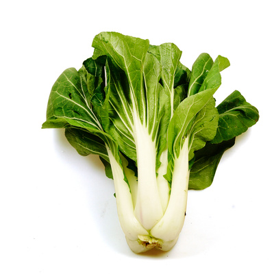 KI generiert: Ein Bund frischer Pak Choi auf weißem Hintergrund.