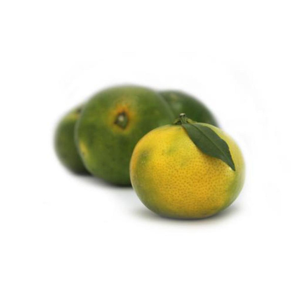 Produktfoto zu Satsumas grünlich
