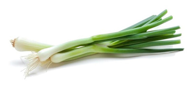 Produktfoto zu Knoblauch jung eig. LW