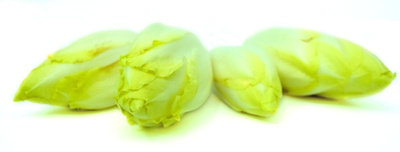 Produktfoto zu Chicoree