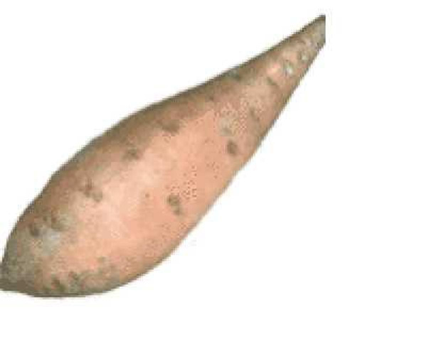 Produktfoto zu Süßkartoffeln orange Ö