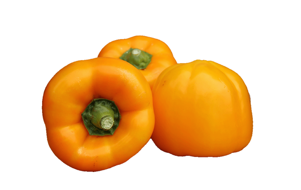 Produktfoto zu Paprika gelb